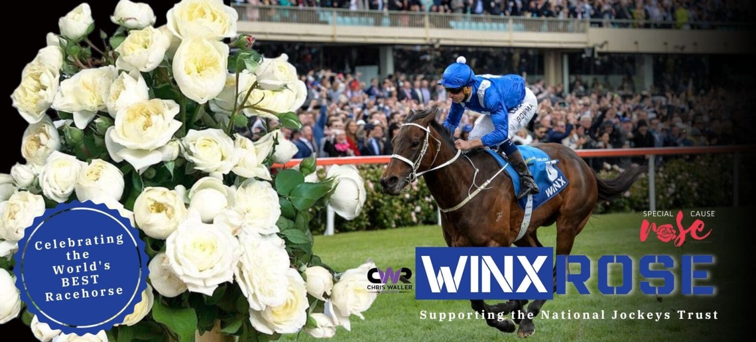 Special-Rose-WINX-race-Horse-jockey-trust-support-knights-roses