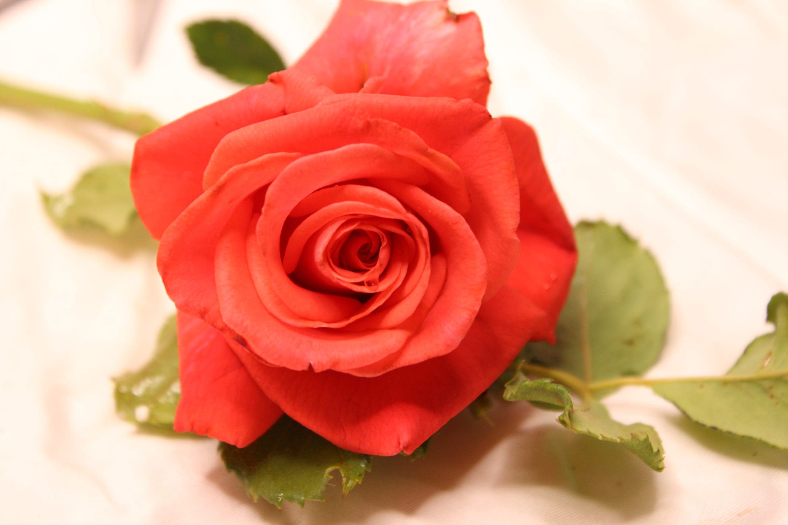 Happy Anniversary - Image 2