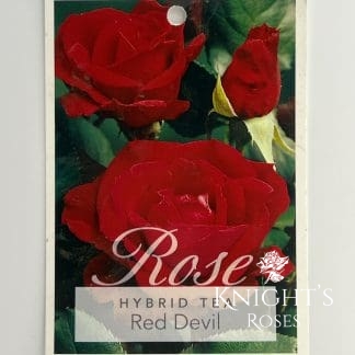 Red Devil