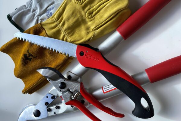 Pruning Tools and Gloves Pruning Tools and Gloves