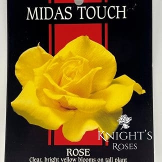 Midas Touch