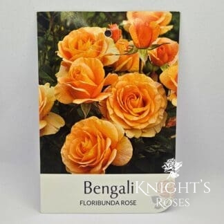 Bengali