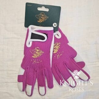 Aussie Bee Glove
