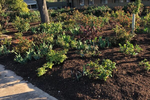 Neutrog Whoflungdung Mulch Photo MT Neutrog Whoflungdung Mulch Photo MT