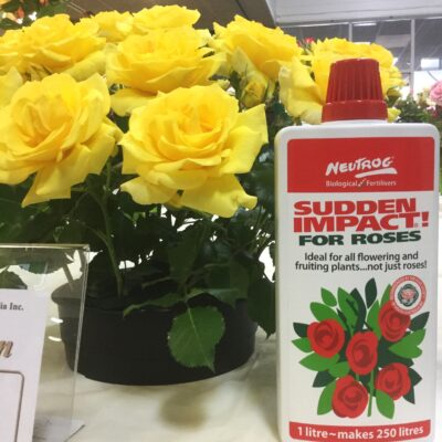 SIFR Liquid Photo M Trimper