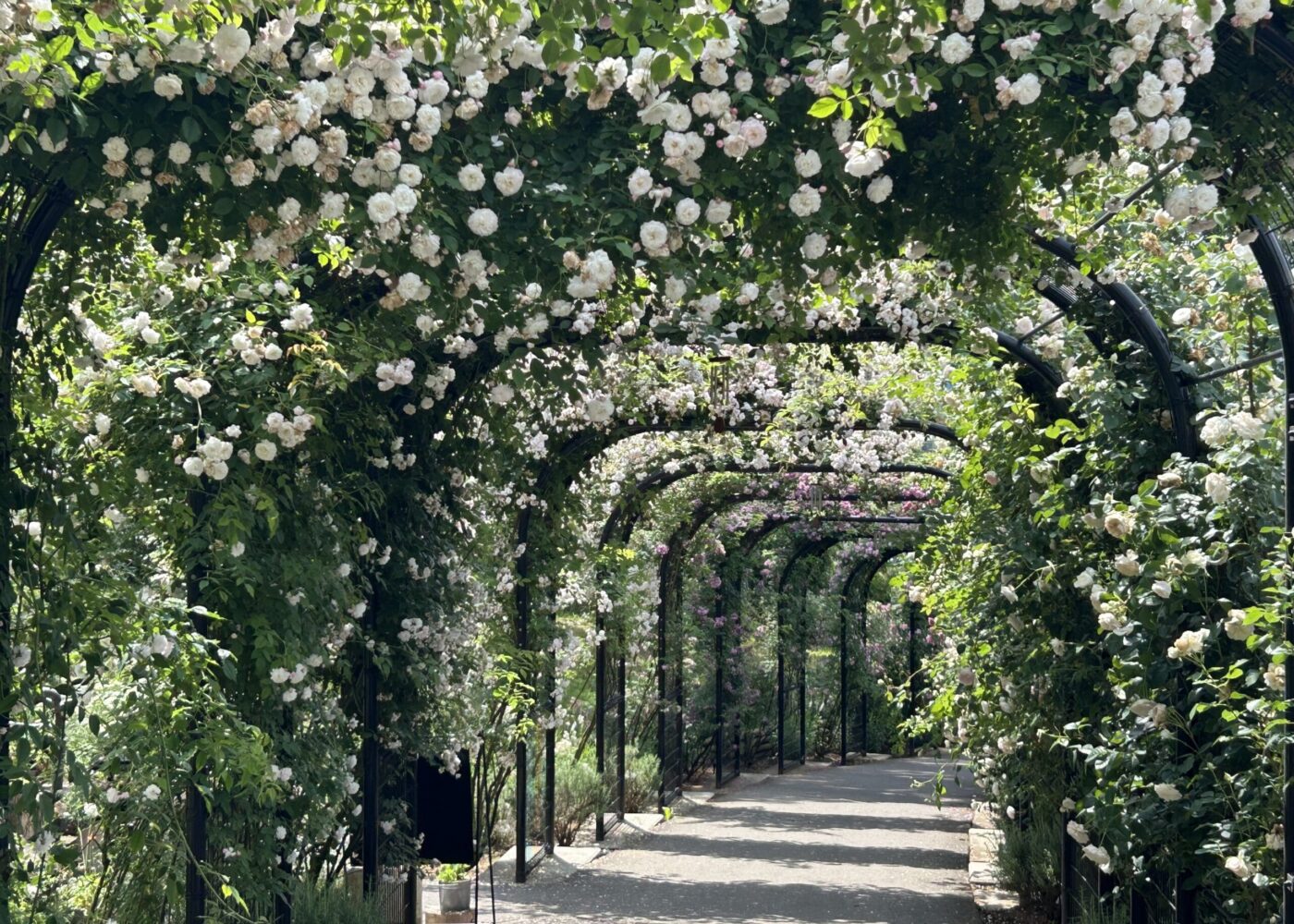 Welcome to springtime Photo Melanie Trimper