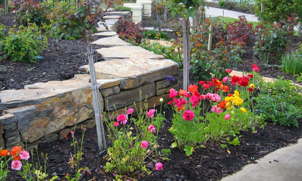 Mulch applied to garden beds Mulch applied to the garden beds