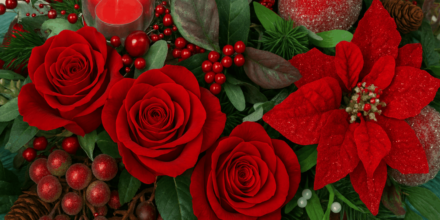 banner for Xmas Photo Melanie Trimper banner for Xmas Photo Melanie Trimper